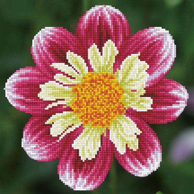 Diamond Dotz Daisy-A-Day